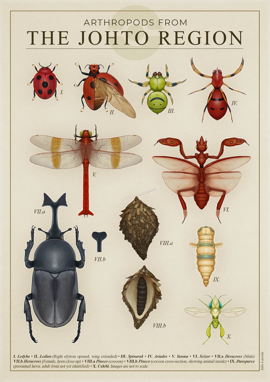 animal_focus ariados border bug celebi cocoon commentary dunsparce english_commentary english_text gen_2_pokemon heracross highres information_sheet julio_lacerda label larva ledian ledyba legendary_pokemon mythical_pokemon nintendo no_humans pineco pokemon realistic scizor spinarak yanma