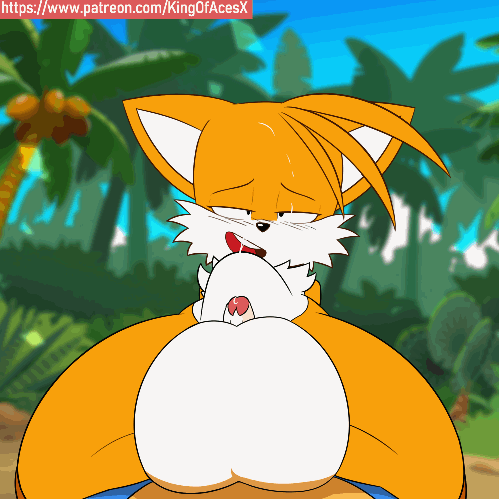 kingofacesx, sonic the hedgehog, tails (sonic), sonic (series), sonic  mania, sonic the hedgehog (classic), animated, animated gif, 2boys, anal,  animal ears, black eyes, bouncing testicles, closed eyes, cowgirl position,  cum, eyelashes, fox