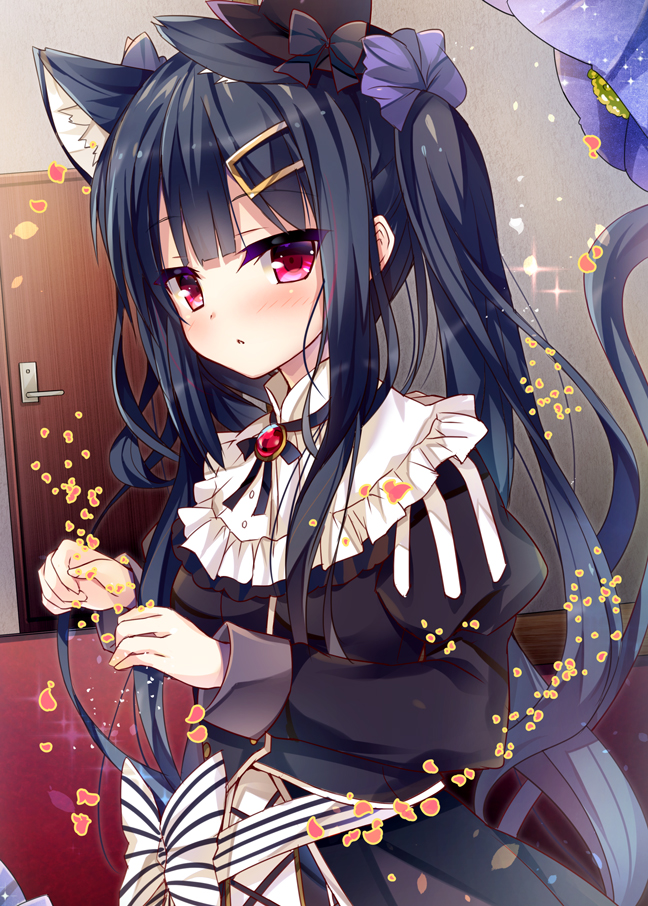 Anime black neko girl