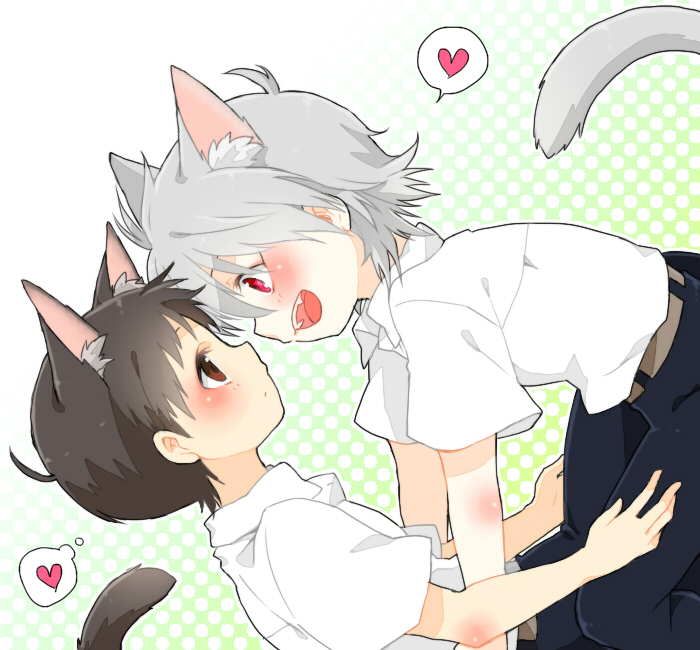 Cute anime cat boys