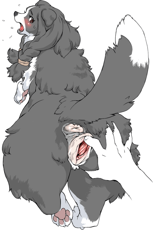 Teen Boy Hentai Old and young xhamster