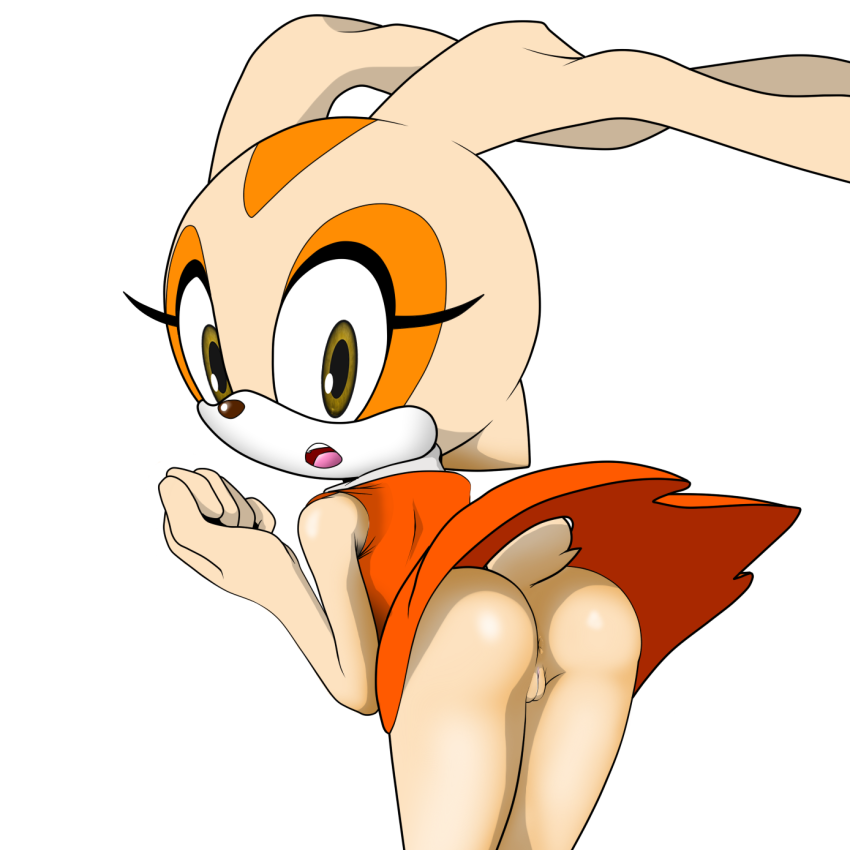 videos-of-girls-using-the-rabbit