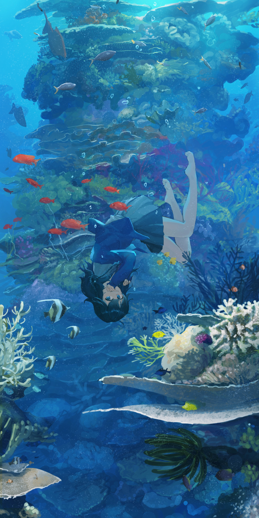 1girl absurdres ahoge bare_legs barefoot black_hair blue_cardigan blue_eyes braid bubble cardigan commentary commentary_request coral_reef covering_own_mouth crossed_bangs english_commentary fish grey_skirt hands_up highres izumo_kasumi_(1st_costume)_(nijisanji) izumo_kasumi_(nijisanji) long_hair looking_at_viewer miniskirt mixed-language_commentary moorish_idol nijisanji plant pleated_skirt rouzato seafloor side_braid skirt sleeves_past_wrists solo submerged toe_scrunch tropical_fish underwater upside-down virtual_youtuber wide_shot