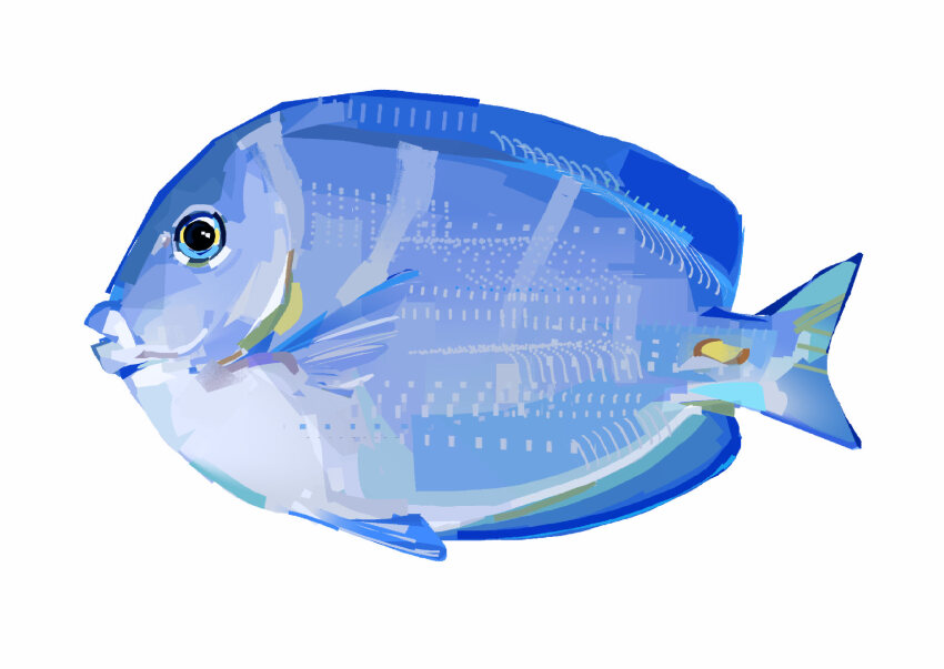 animal_focus commentary english_commentary fish from_side full_body highres junbuug no_humans original painterly photo-referenced simple_background surgeonfish textless_version white_background