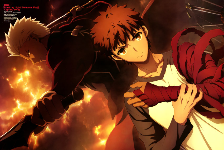 Fate/stay anime