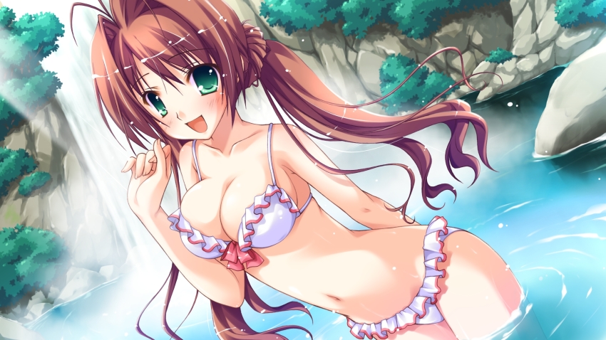 Sexy anime bikini girls
