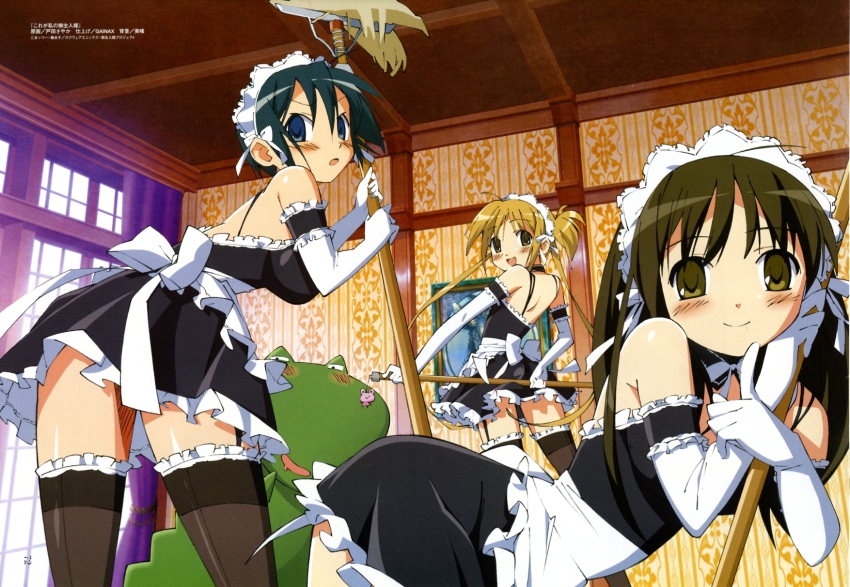 The master and her maid anime