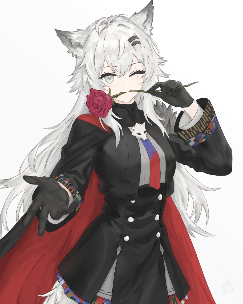 1girl ;) absurdres animal_ears arknights black_cape black_gloves black_jacket black_skirt bolo_tie cape closed_mouth commentary cowboy_shot english_commentary flower gloves gradient_background grey_eyes hair_ornament hairclip highres jacket ji_wan_2 lappland_(arknights) lappland_the_decadenza_(arknights) long_hair long_sleeves one_eye_closed outstretched_hand pink_flower pink_rose red_cape rose scar scar_across_eye scar_on_face skirt smile solo standing two-sided_cape two-sided_fabric white_background white_hair wolf_ears wolf_girl