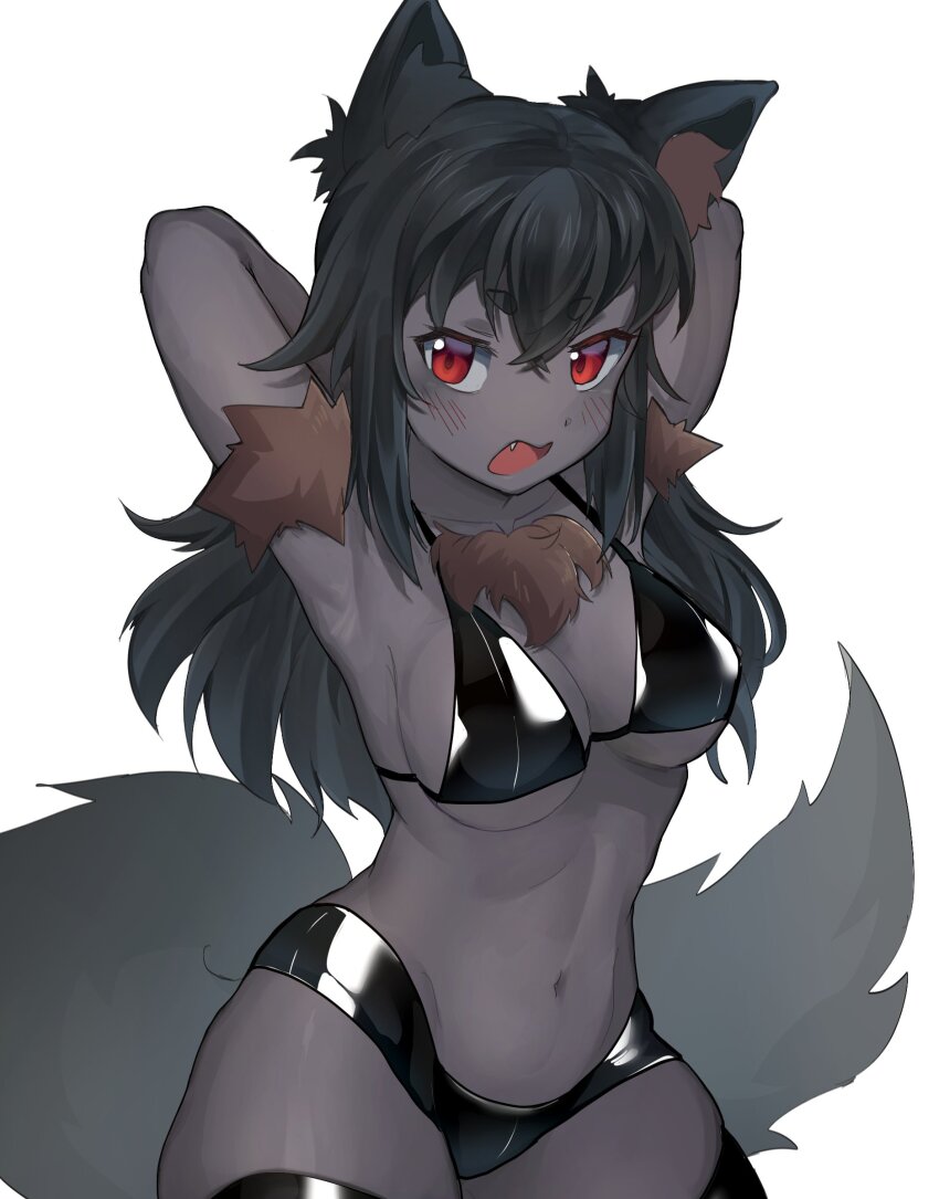 1girl animal_ear_fluff animal_ears armpits arms_behind_head bikini black_bikini black_hair breasts colored_skin commentary cowboy_shot crossed_bangs dog_ears dog_girl dog_tail english_commentary fang grey_skin hair_between_eyes hellhound_(monster_girl_encyclopedia) highres large_breasts leiden_yaegore long_hair looking_at_viewer monster_girl monster_girl_encyclopedia monster_girl_encyclopedia_ii navel open_mouth red_eyes simple_background solo swimsuit tail white_background