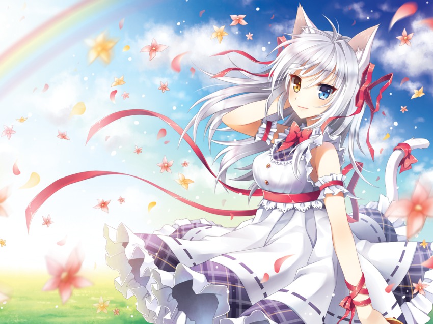Anime cat girl pictures