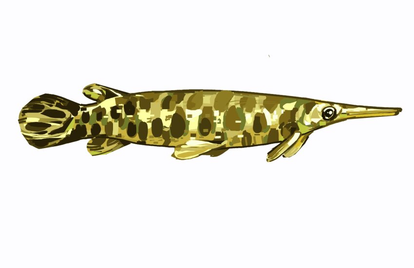 animal_focus commentary commission english_commentary from_side full_body gar_(fish) highres junbuug no_humans original painterly simple_background white_background