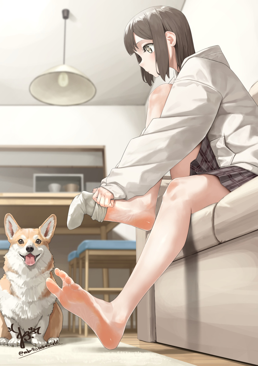 1girl absurdres barefoot brown_eyes brown_hair couch dog feet highres maburoku medium_hair sitting socks soles toes unworn_socks