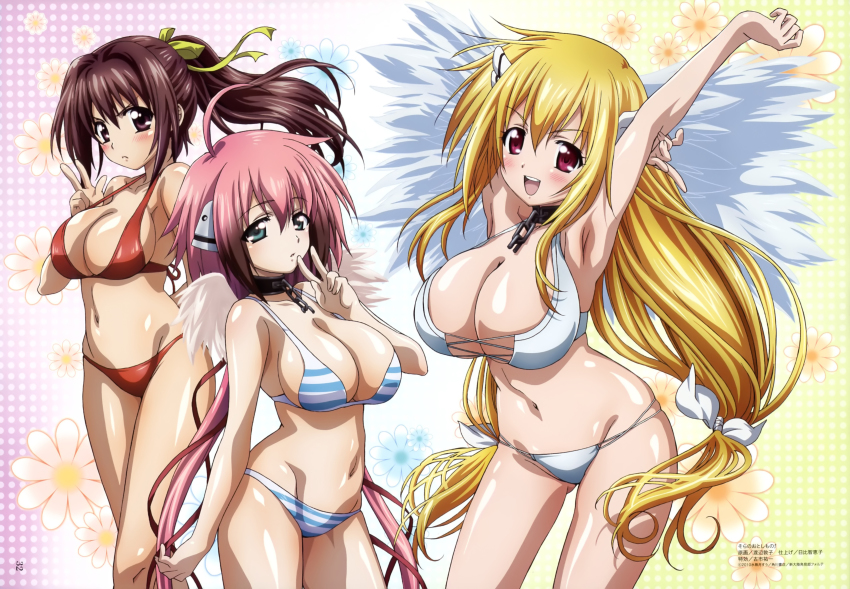 Top ecchi anime of all time