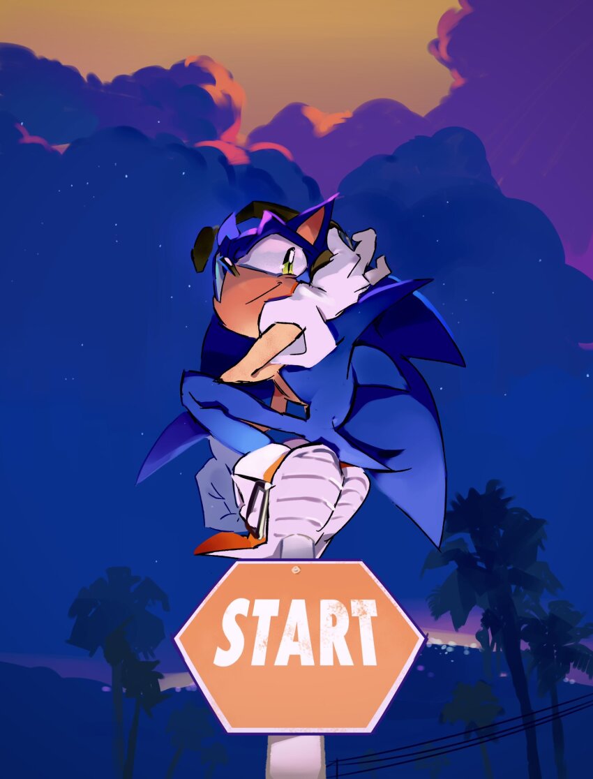 1boy afargeo animal_ears animal_nose blue_fur cloud commentary english_commentary from_below full_body furry furry_male gloves hedgehog_boy highres looking_at_viewer male_focus night outdoors palm_tree perching red_shoes road_sign shoes short_tail sign smile solo sonic_(series) sonic_the_hedgehog squatting star_(sky) tail tree white_gloves