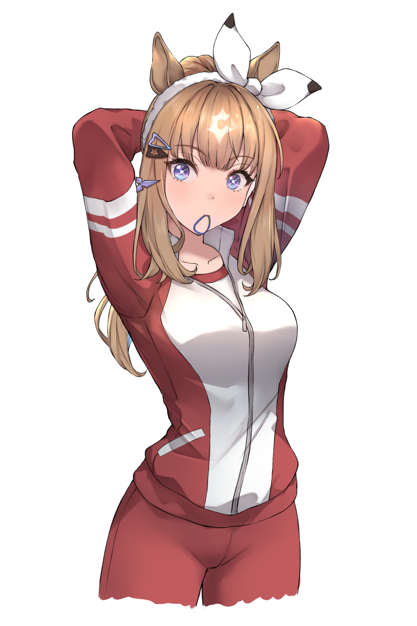 1girl absurdres almond_eye_(umamusume) animal_ears arms_behind_head arms_up blue_eyes bow brown_hair commentary_request cropped_legs hair_bow hair_ornament hair_tie_in_mouth hairband hairclip highres horse_ears horse_girl jacket long_hair long_sleeves looking_at_viewer mouth_hold pants peperoncino-sama red_jacket red_pants shirt simple_background solo symbol-shaped_pupils tracen_training_uniform track_jacket tying_hair umamusume white_background white_bow white_hairband white_shirt x-shaped_pupils zipper
