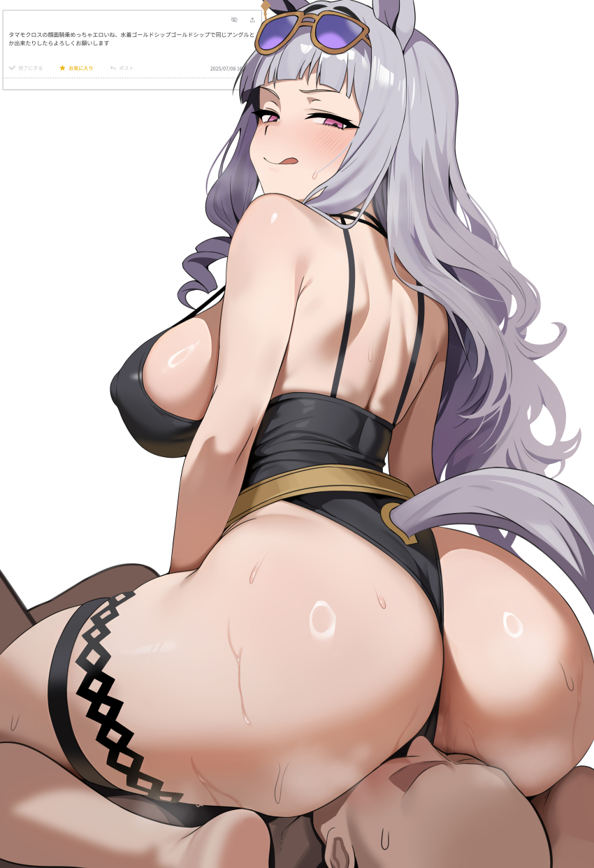 1boy 1girl :q absurdres animal_ears ass bald black_one-piece_swimsuit breasts covered_erect_nipples dush_1154 eyewear_on_head from_behind girl_on_top gold_ship_(run_revolt_launcher)_(umamusume) gold_ship_(umamusume) grey_hair highres horse_ears horse_girl horse_tail large_breasts long_hair official_alternate_costume one-piece_swimsuit purple-tinted_eyewear simple_background sitting sitting_on_face sitting_on_person sunglasses sweat swimsuit tail thigh_strap thighs tinted_eyewear tongue tongue_out translation_request umamusume white_background