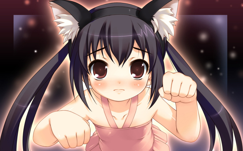 Anime cat girl pictures