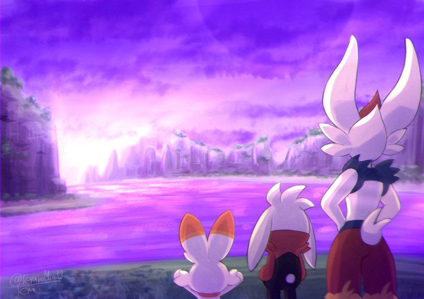 cinderace cliff cloud commentary_request evolutionary_line from_behind furry gen_8_pokemon grass hands_on_own_hips highres nintendo outdoors pokemon pokemon_(creature) raboot scorbunny sky standing tem_(mimoteurur013)