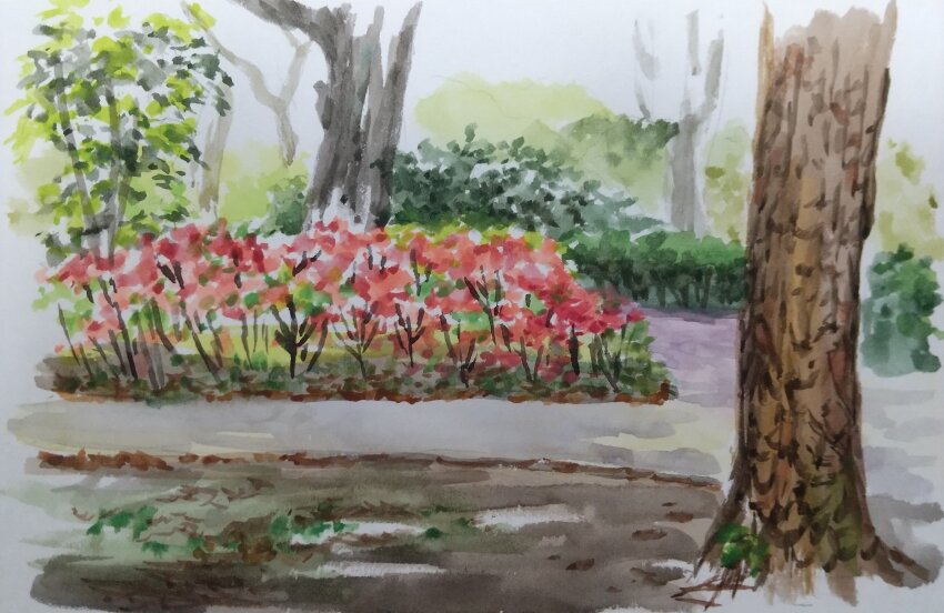 absurdres bush commentary_request day flower harusa1107 highres no_humans original painting_(medium) park path plant red_flower road scenery sketch traditional_media tree unfinished watercolor_(medium)