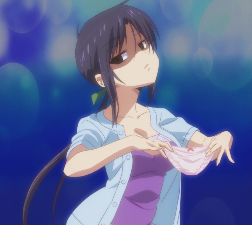 Okusama ga seito kaichou anime
