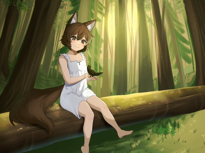 1girl absurdres animal animal_ear_fluff animal_ears barefoot bird brown_eyes brown_hair closed_mouth commentary commission double-parted_bangs dress english_commentary foot_out_of_frame forest fox_ears fox_girl fox_tail hair_between_eyes highres holding holding_animal leiden_yaegore nature on_tree original outdoors short_hair sitting sleeveless sleeveless_dress smile solo tail tree white_dress