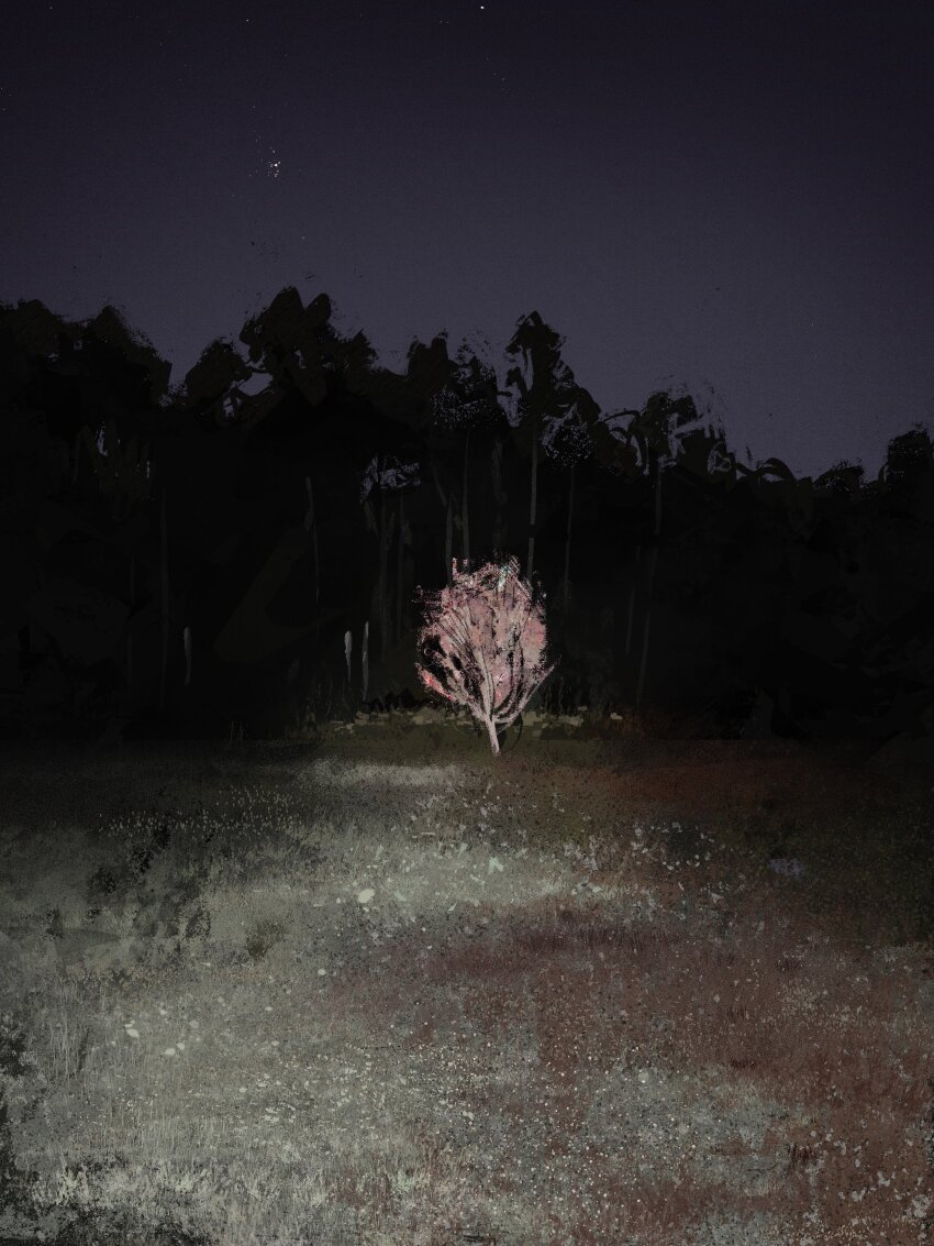 absurdres clear_sky commentary dark forest highres landscape nature night no_humans original outdoors overexposure painterly pink_leaf scenery sky symbol-only_commentary tree twulfs