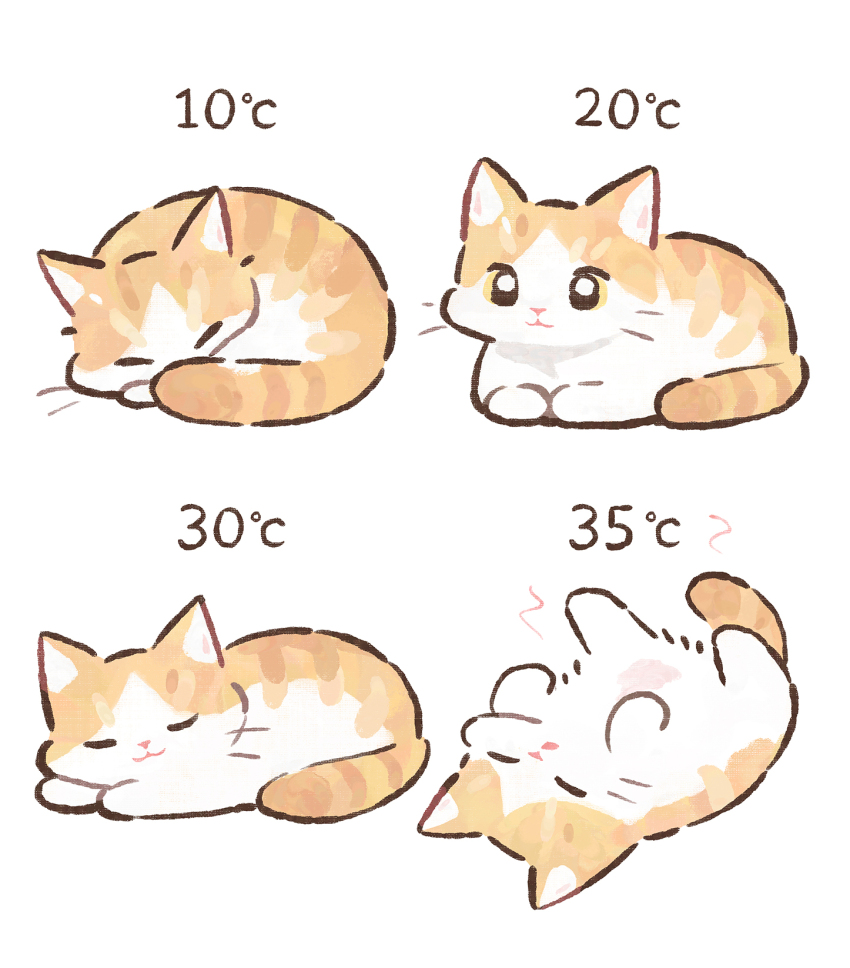 animal animal_focus cat closed_eyes closed_mouth curled_up gentlecat highres lying multiple_views no_humans on_back on_stomach orange_cat original simple_background sleeping white_background