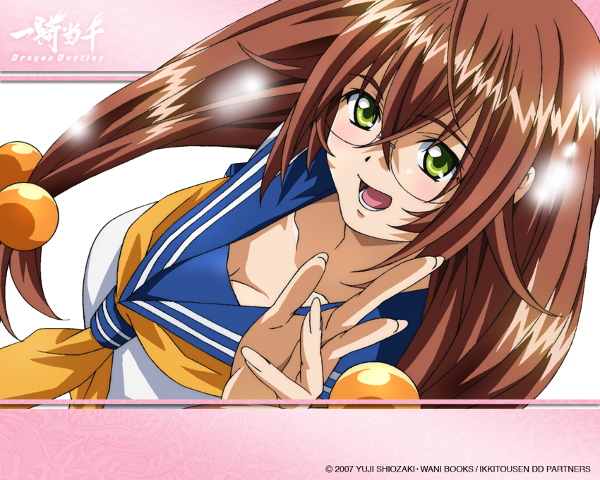 Ikki tousen anime series order