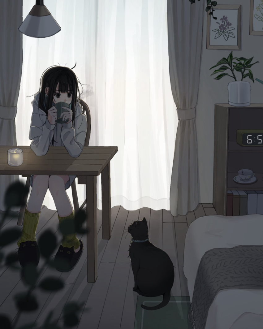 1girl animal_slippers backlighting black_cat black_eyes black_hair black_slippers blurry blurry_foreground candle cat chair clock commentary cup curtains digital_clock green_leg_warmers highres hood hood_down hooded_jacket indoors jacket leg_warmers looking_at_animal messy_hair mug original plant potted_plant s_picoo shelf sitting slippers table teacup white_jacket