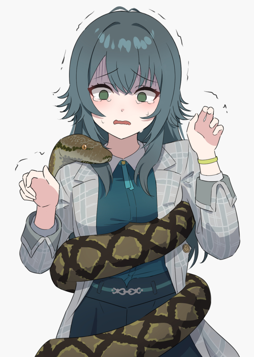 1girl antenna_hair black_skirt blue_hair blue_ribbon blue_shirt bracelet breasts collared_shirt commentary_request constriction cowboy_shot crying crying_with_eyes_open empty_eyes frown gakuen_idolmaster green_eyes grey_jacket hair_flaps hands_up highres idolmaster jacket jewelry lapels long_hair long_sleeves medium_breasts neck_ribbon open_clothes open_jacket open_mouth plaid_clothes plaid_jacket python ribbon scared shirt shirt_tucked_in simple_background skirt solo standing tatama tears trembling tsukimura_temari turn_pale wavy_mouth white_background