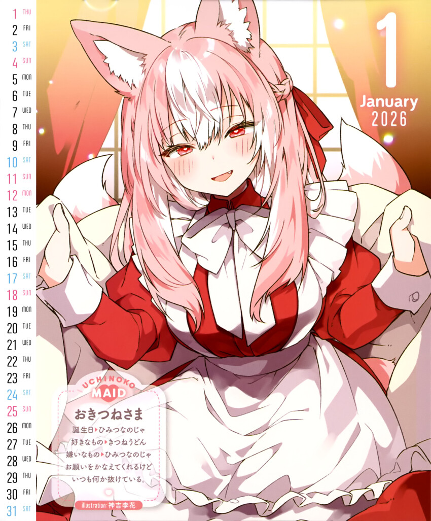 1girl 2026 :d animal_ears apron artist_name blush bow bowtie braid calendar_(medium) curtains dengeki_moeoh fang fox_ears fox_girl fox_tail half-closed_eyes head_tilt heart heart-shaped_pupils highres indoors january juliet_sleeves kamiyoshi_rika kitsune large_bow light_particles long_hair long_sleeves looking_at_viewer magazine_scan maid maid_apron multicolored_hair multiple_tails okitsune-sama_(kamiyoshi_rika) open_mouth original pink_hair puffy_sleeves red_eyes scan sidelocks smile solo symbol-shaped_pupils tail third-party_source translation_request two-tone_hair white_apron white_bow white_bowtie white_hair window