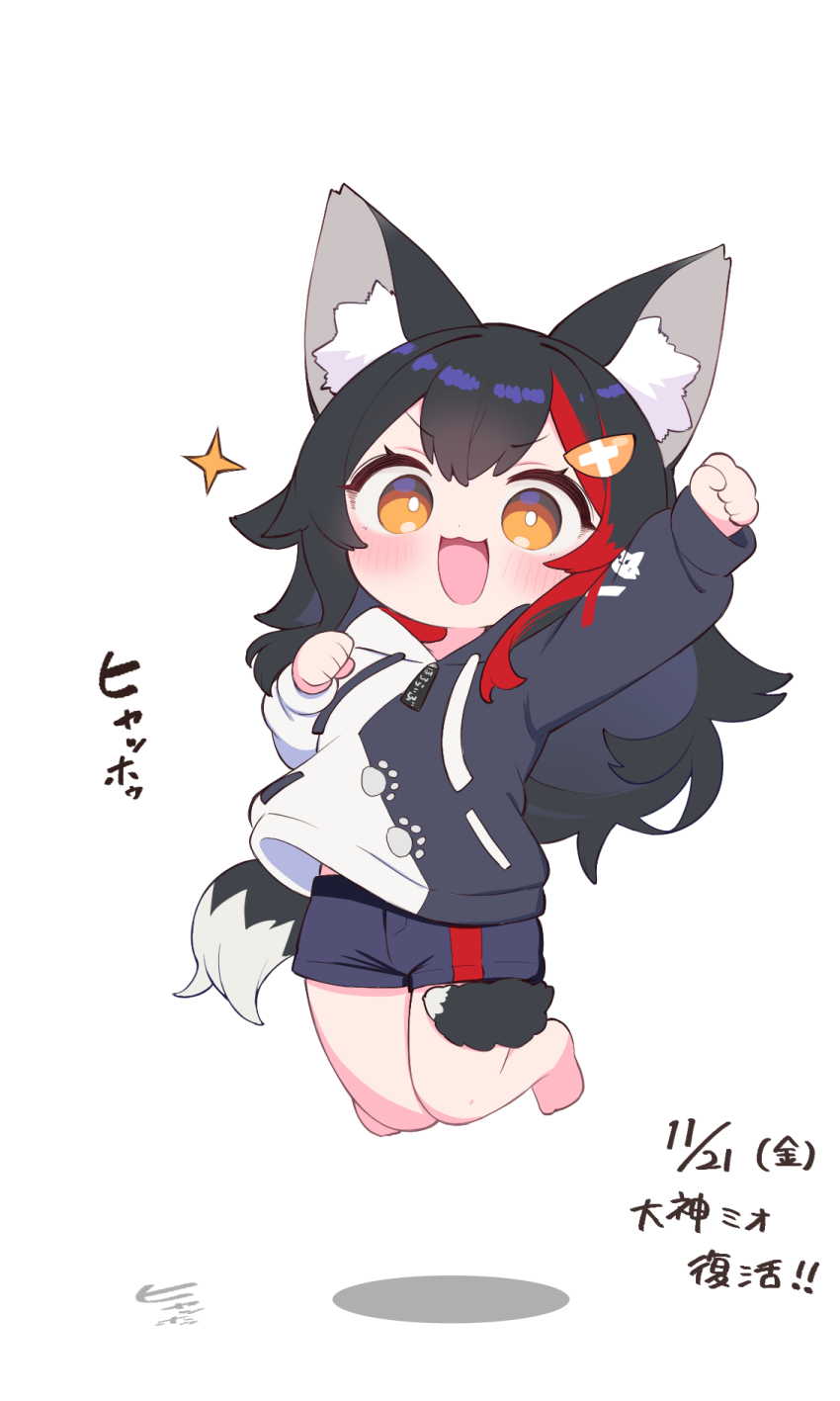 1girl :3 :d animal_ear_fluff animal_ears arm_up barefoot black_hair black_shorts blush brown_eyes chibi commentary_request dated full_body hair_ornament highres hololive hood hood_down hoodie jacket jumping kani_bonara knees_together_feet_apart long_sleeves looking_at_viewer multicolored_hair multicolored_jacket ookami_mio ookami_mio_(hoodie) open_mouth red_streaks shorts simple_background smile solo sparkle streaked_hair tail tail_around_own_leg translation_request two-tone_jacket virtual_youtuber white_background wolf_ears wolf_girl wolf_tail