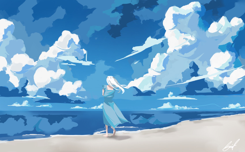 1girl absurdres beach blue_dress blue_sky cloud cloudy_sky commentary crossed_arms crown day dress english_commentary from_behind full_body highres horizon long_hair nephis_(shadow_slave) no_lineart outdoors shadow_slave shore sky sky_focus solo standing surf swift6000 white_hair