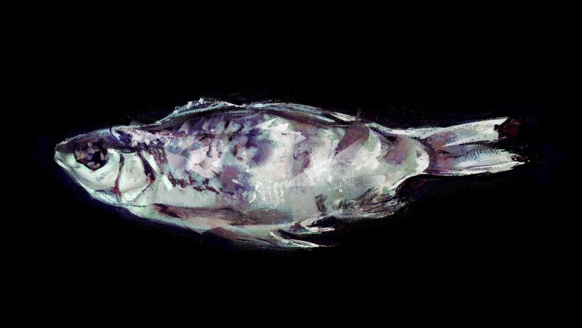 animal_focus black_background commentary fish fish_request from_side highres no_humans original painterly simple_background symbol-only_commentary twulfs