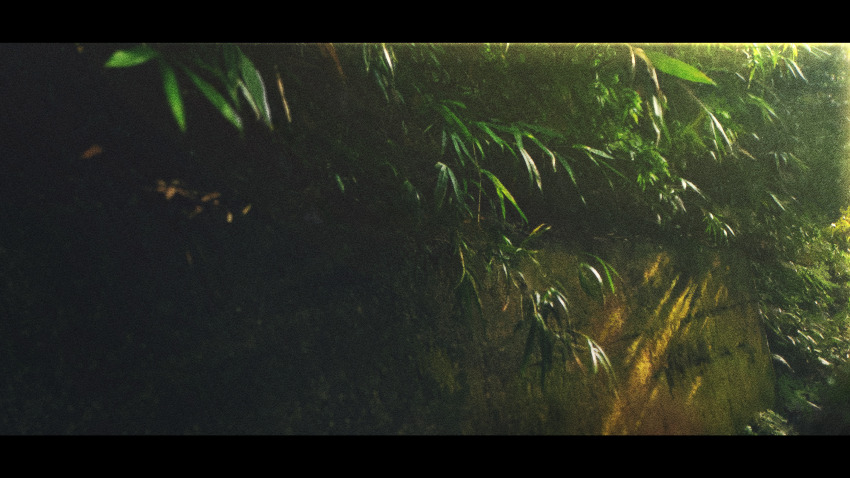 absurdres commentary gerar_dc highres leaf no_humans original outdoors photorealistic realistic scenery stone_wall