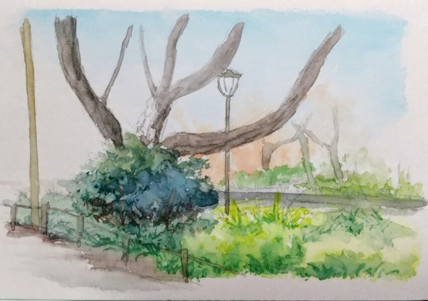 bush commentary_request day fence grass harusa1107 highres lamppost no_humans original painting_(medium) park path plant road traditional_media tree watercolor_(medium)