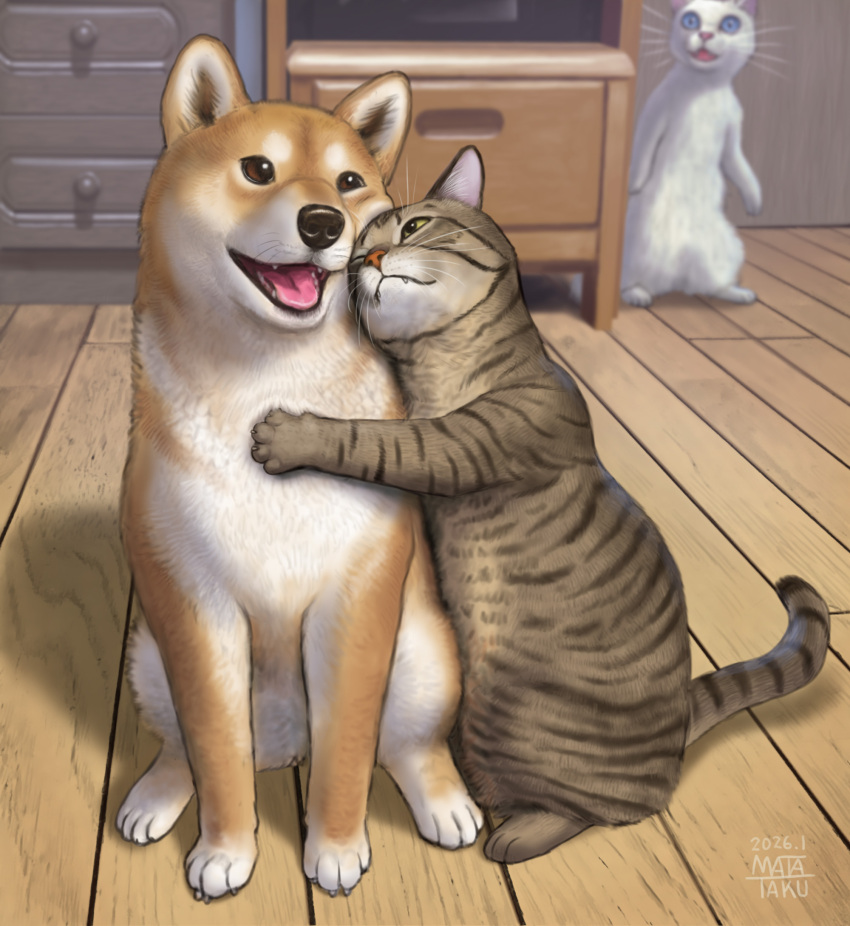 animal_focus cat commentary_request dated dog highres hug indoors matataku no_humans original signature sitting surprised_cat_(matataku) wooden_floor