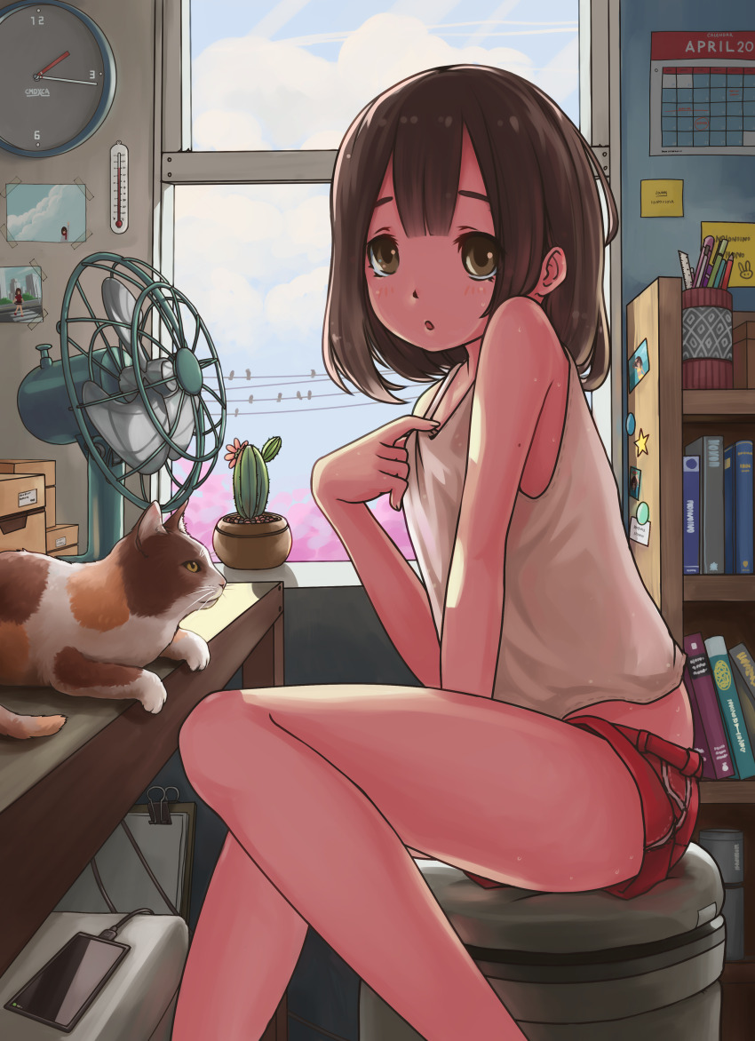 1girl :o absurdres analog_clock animal bare_legs black_hair brown_eyes cactus calendar_(object) cat cellphone charging_device clock commentary comodox electric_fan english_commentary highres hot indoors medium_hair open_window original phone plant potted_plant power_lines red_shorts shelf short_shorts shorts sitting smartphone solo stool table tank_top thermometer white_tank_top window