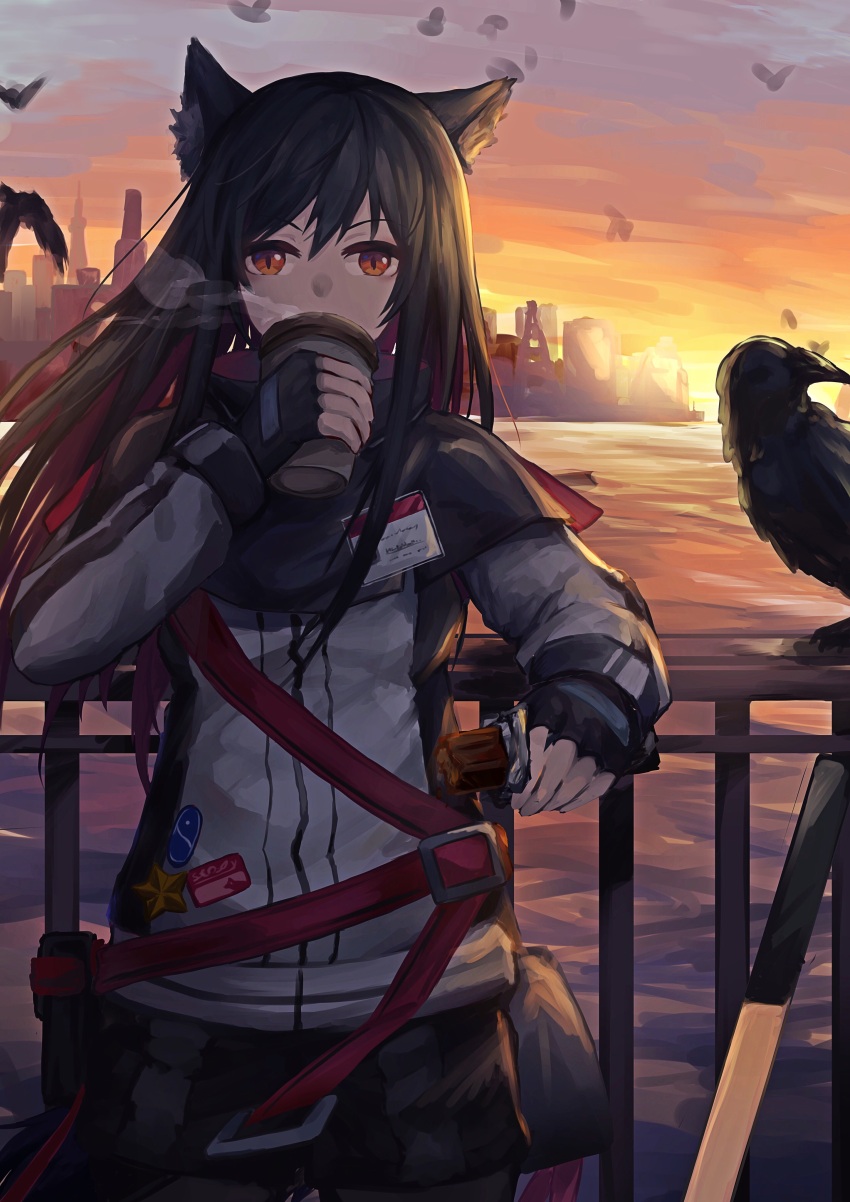 1girl absurdres against_railing animal_ears arknights bird black_hair candy candy_bar commentary_request crow cup disposable_cup drinking food highres holding holding_candy holding_cup holding_food jacket long_hair looking_at_viewer outdoors railing sasa_kurumi steam sunset texas_(arknights) wolf_ears wolf_girl