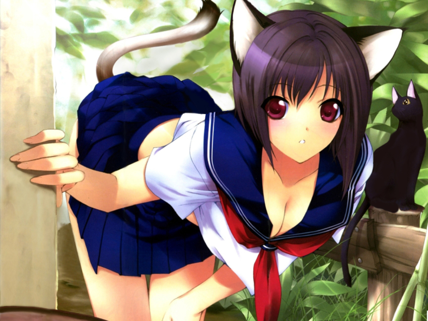 Anime cat girl pictures