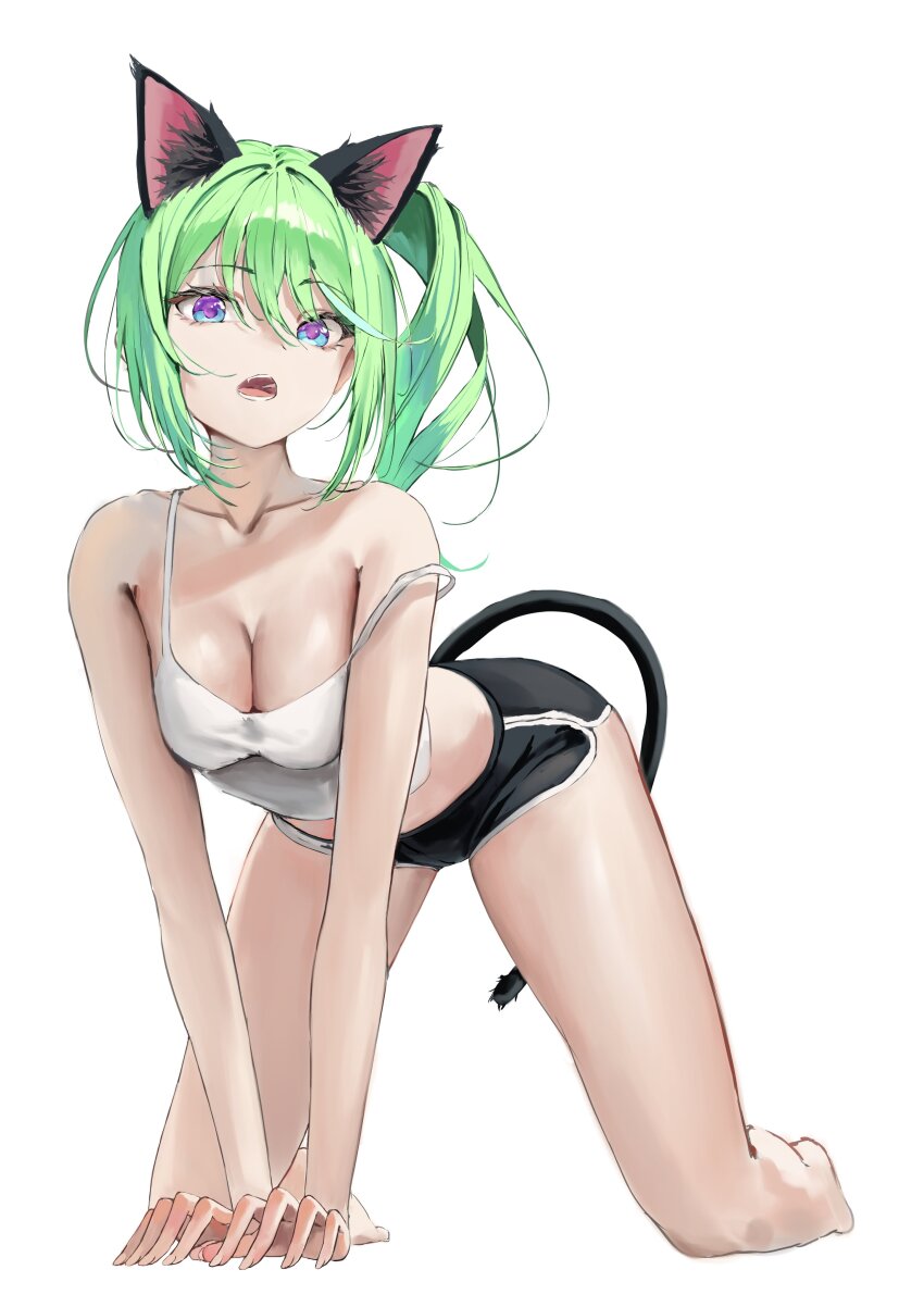 1girl absurdres all_fours animal_ear_fluff animal_ears aqua_eyes bare_arms black_shorts breasts camisole choppy_bangs cleavage collarbone commentary_request crop_top full_body green_hair hair_between_eyes highres korean_commentary large_breasts long_bangs looking_at_viewer medium_hair multicolored_eyes multicolored_hair nonekong open_mouth purple_eyes short_shorts shorts side_ponytail simple_background solo spaghetti_strap stellive strap_slip streaked_hair tail two-tone_eyes virtual_youtuber white_background white_camisole yuzuha_riko