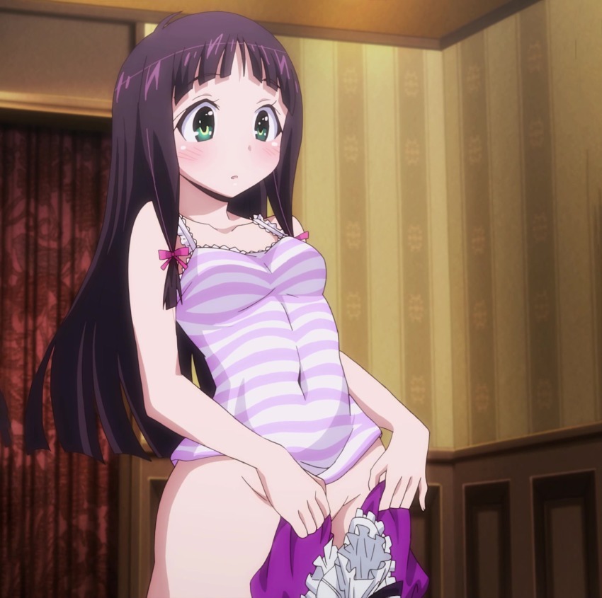 Okusama ga seito kaichou anime