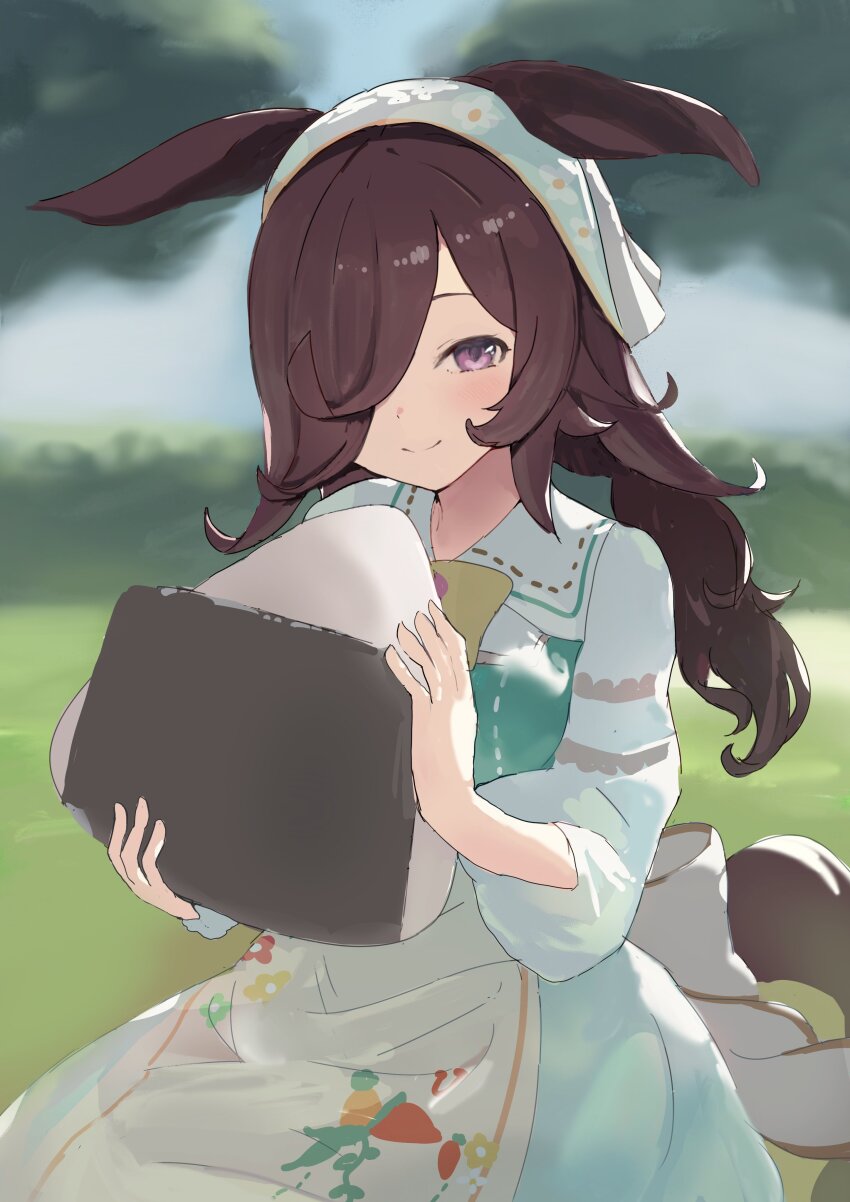 1girl absurdres animal_ears apron blush brown_hair closed_mouth commentary_request dress flipped_hair food hair_over_one_eye headscarf highres holding holding_food horse_ears horse_girl horse_tail long_hair looking_at_viewer low_twintails official_alternate_costume official_alternate_hairstyle onigiri oversized_food oversized_object puritan_collar purple_eyes rice_shower_(umamusume) rice_shower_(yummy_dreamy_fairy)_(umamusume) smile solo tail takinii twintails umamusume