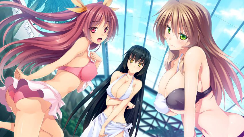 Anime ecchi harem video