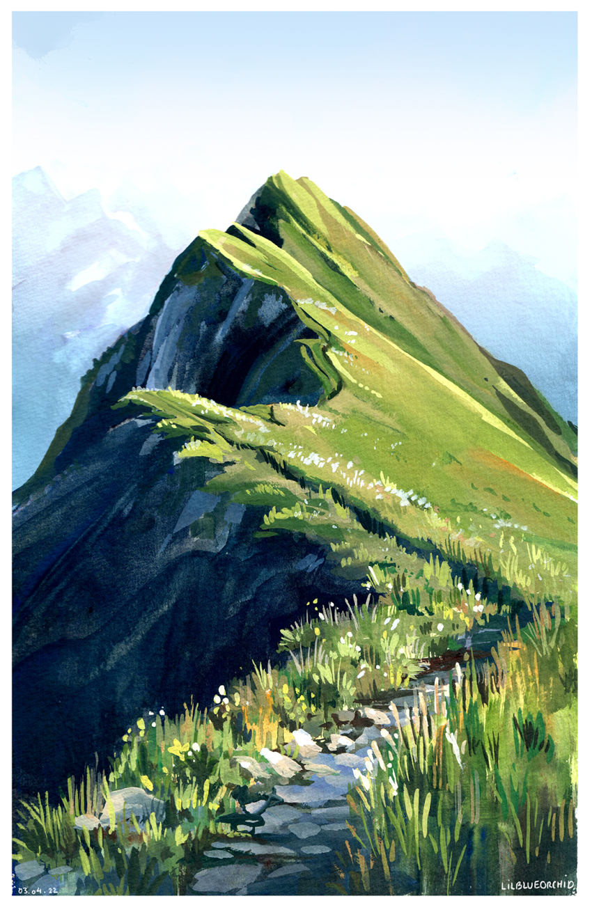 artist_name blue_sky border commentary dated day english_commentary flower grass highres landscape lilblueorchid mountain mountainous_horizon mountaintop nature no_humans original outdoors path bad_tag photo-referenced road rock scenery sky switzerland white_border white_flower