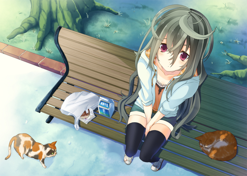 Anime girl on the ground