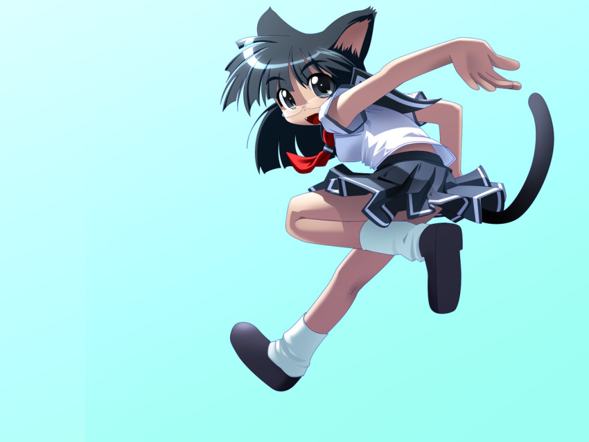 1girl animal_ears ankle_socks aqua_background bad_id bent_back black_eyes black_hair black_shoes black_tank_top blouse blue_sailor_collar blue_skirt blunt_bangs blunt_ends breasts cat_ears cat_girl cat_tail collared_shirt commentary dot_nose fang glasses gradient_background hair_ears kitsupon leg_up long_hair looking_at_viewer medium_breasts miniskirt neckerchief open_hand open_mouth original pleated_skirt red_neckerchief rimless_eyewear round_eyewear sailor_collar school_uniform serafuku shirt shoe_soles shoes short_sleeves sidelighting simple_background skirt socks solo tail tank_top tongue tube_socks white_shirt white_sleeves white_socks