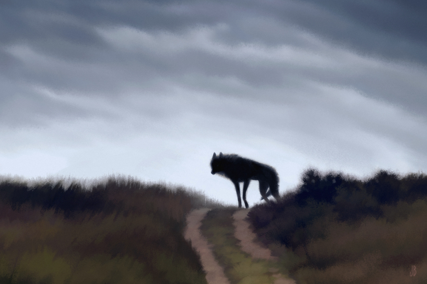 animal animal_focus between_legs black_fur blurry bush closed_mouth cloud cloudy_sky commentary dappermouth day dog english_commentary full_body grass grey_sky highres hill horizon horror_(theme) looking_at_viewer nature no_eyes no_humans original outdoors path realistic road scenery signature sky standing surreal tail tail_between_legs wolf